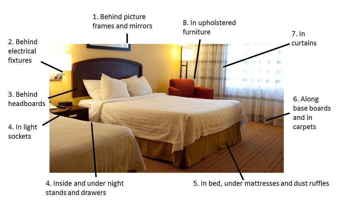 How To Avoid Bed Bugs Bug Guide, How To Protect From Bed Bugs