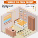 US Map Shows How The Bed Bug Epidemic Is Spreading - Bed Bug Guide